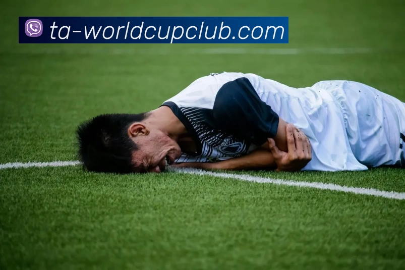 App Interface Preview